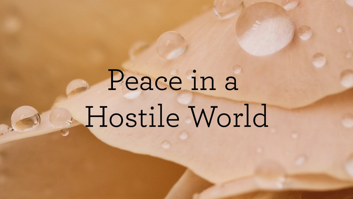 Peace in a Hostile World