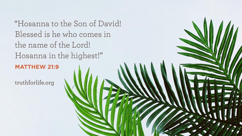 Hosanna to the Son of David! Blessed is he who comes in the name of the Lord! Hosanna in the highest! - Matthew 21:9